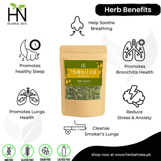 MULLEIN PURE LEAF TEA FOR LUNGS HEALTH (30 TEA CUPS) 100 GRAMS