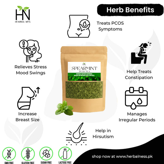 Spearmint PCOS Relief Tea – Natural Hormone Balance & Wellness Blend